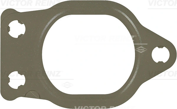 Gasket, exhaust manifold